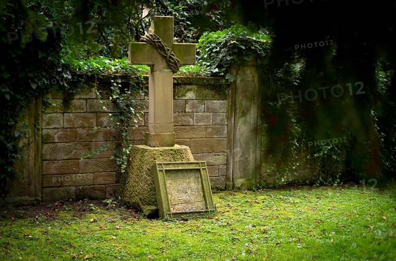 Gravestone, ivy, grave, graves, Hoppenlauf cemetery, oldest preserved cemetery in Stuttgart, autumn, autumnal, Baden-Württemberg, Germany