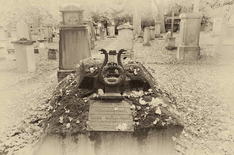 Gravestone, grave of poet and writer Wilhelm Hauff, graves, Hoppenlauf cemetery, oldest preserved cemetery in Stuttgart, black and white, vintage, autumn leaves, autumn, autumnal, Baden-Württemberg, Germany