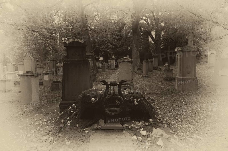 Gravestones, grave of poet and writer Wilhelm Hauff, graves, black and white, vintage, Hoppenlauf cemetery, oldest preserved cemetery in Stuttgart, autumn, autumnal, Baden-Württemberg, Germany