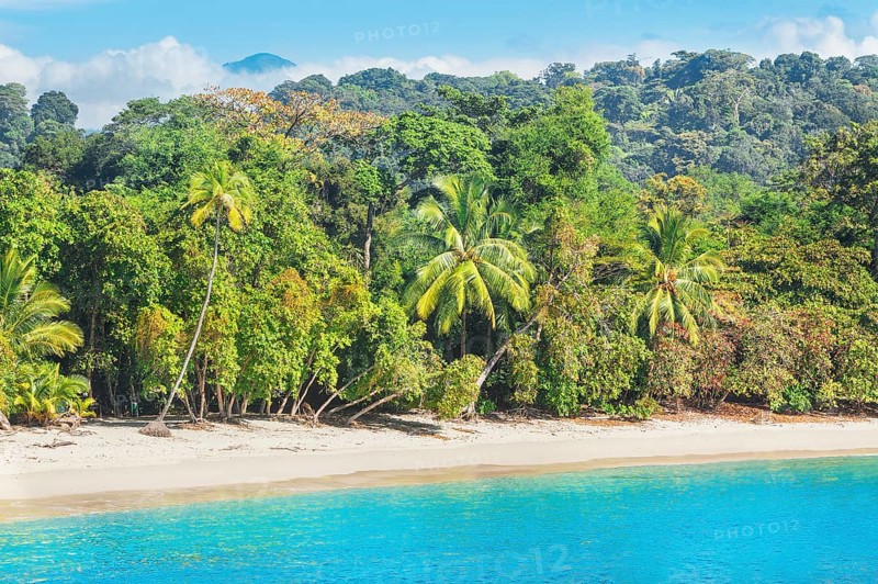 Tropical beach, Manuel Antonio National Park, Quepos, Costa Rica