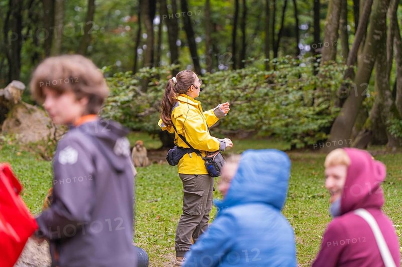A person in a yellow jacket points to something in a wooded area. Surrounded by blurred figures, Affenberg Salem, Lake Constance district, Germany