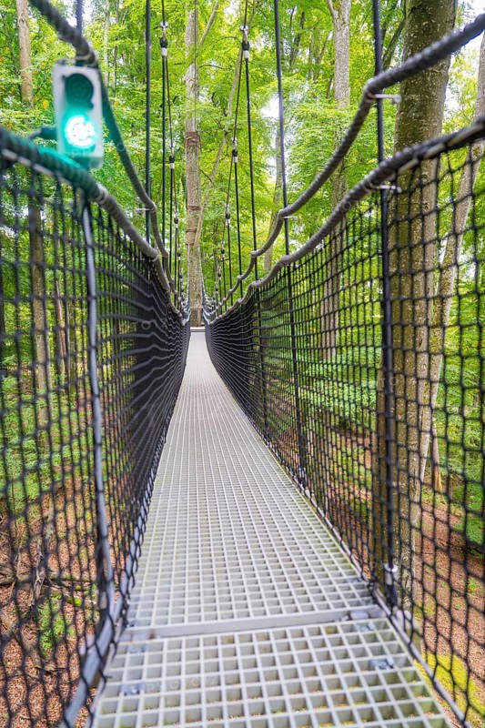 A narrow suspension bridge made of plastic and rope leads through a dense forest, Affenberg Salem, Lake Constance district, Germany