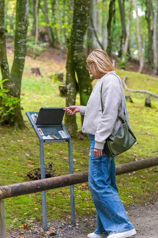 Woman reading an information board in a wooded area, Affenberg Salem, Lake Constance district, Germany