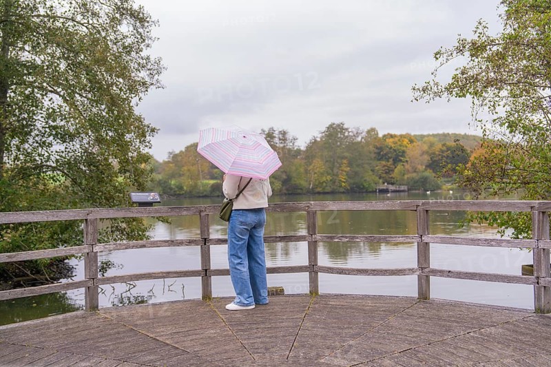 Person with umbrella looking at the lake from a jetty, Affenberg Salem, Lake Constance district, Germany