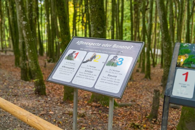 Information sign in a forest with humorous content about monkeys and bananas, Affenberg Salem, Lake Constance district, Germany