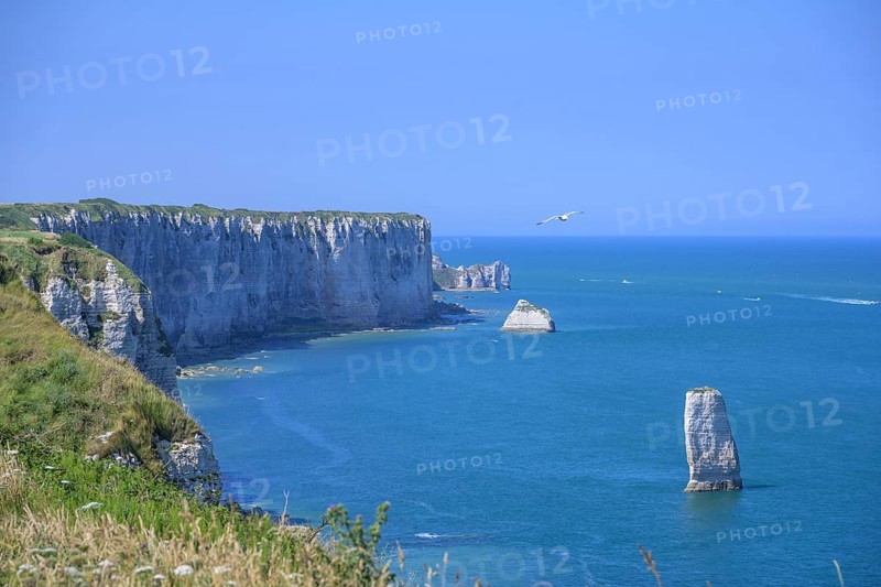 Aiguille de Belval, hike from Yport to Etretat along the chalk cliff coast, Département Seine-Maritime, France