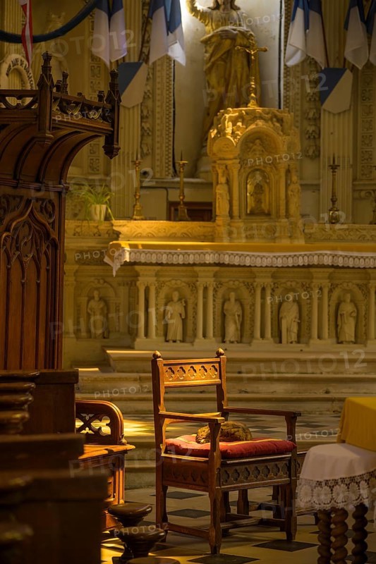 Cat sleeping on an armchair in the chancel, Saint Martin Church, Yport, Seine-Maritime, France