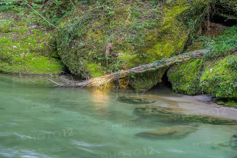Erlauf Gorge, Purgstall an der Erlauf, Lower Austria, Austria