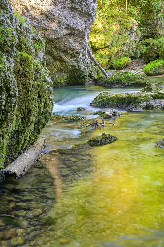 Erlauf Gorge, Purgstall an der Erlauf, Lower Austria, Austria
