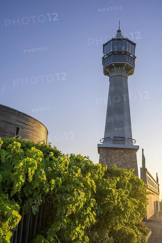 Vines and the lighthouse of, Verzenay, Marne, France