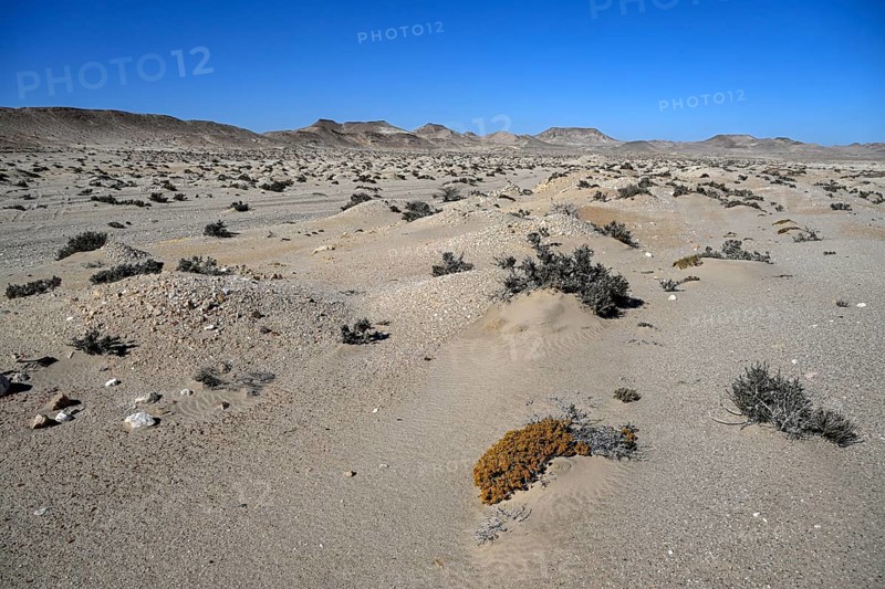 Diamond mining mound in the desert sand at the beginning of the 20th century, Pomona, restricted diamond area, near Lüderitz, Karas region, Namibia