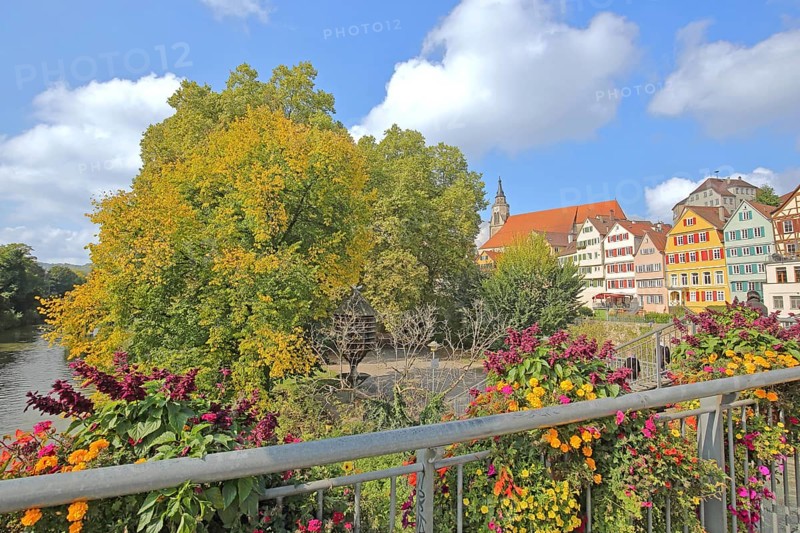 Colourful house front on the Neckar, house facade, Neckar bank, Neckar front, Neckar island, flower decoration, Eberhardsbrücke, Tübingen, Neckar valley, Baden-Württemberg, Germany