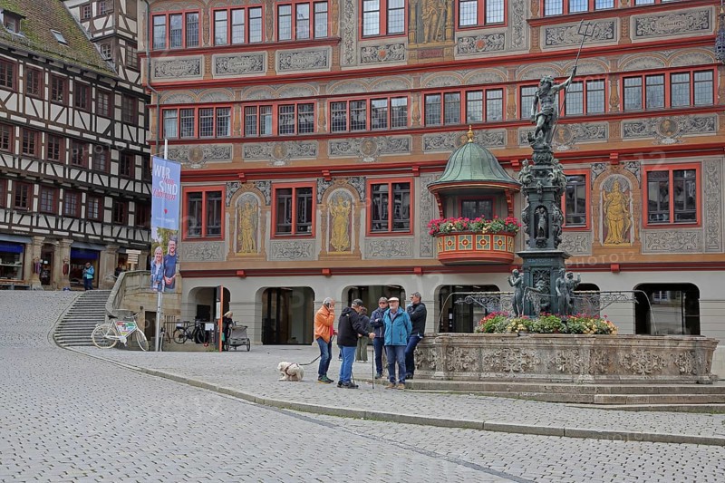Renaissance town hall with Neptune fountain, market stall and pedestrians, Am Markt, Tübingen, Neckartal, Baden-Württemberg, Germany