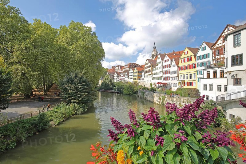 Colourful house front on the Neckar, house facade, Neckar bank, Neckar front, Neckar island with plane tree avenue, trees, flower decoration, Eberhardsbrücke, Tübingen, Neckar valley, Baden-Württemberg, Germany