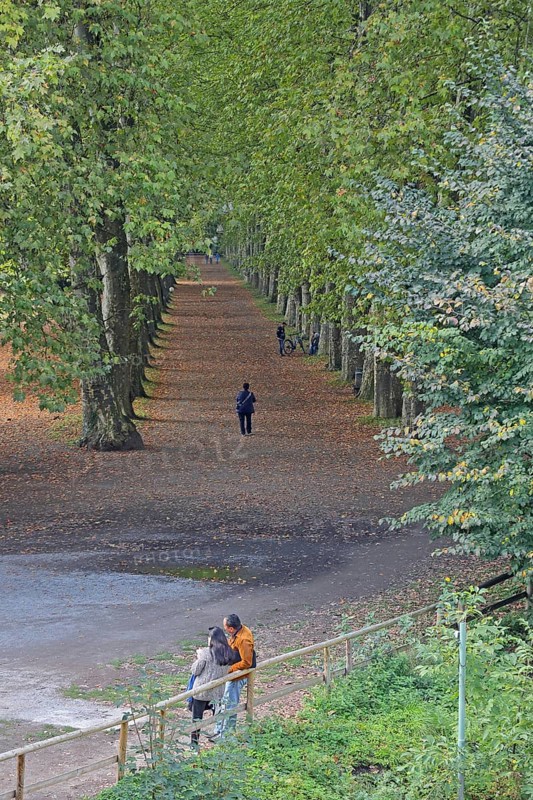 Plane tree avenue with pedestrian and standing couple, stroller, stroll, strolling, standing, symbol, single, couple, walk, vanishing point, plane trees, trees, Neckar island, Tübingen, Neckar valley, Baden-Württemberg, Germany