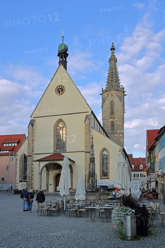 Baroque St Martin's Cathedral, Rottenburg am Neckar, Neckar Valley, Baden-Württemberg, Germany
