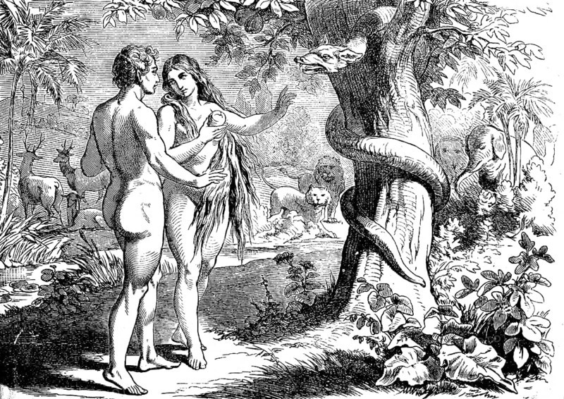 Genesis, chapter 3, Adam and Eve naked in paradise, snake in the tree, animal world, river, nature, Eve eats forbidden apple, Old Testament, Bible, historical illustration 1877