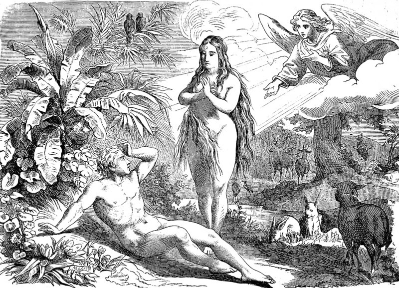 First book of Genesis, chapter 3, Adam and Eve naked in paradise, angels in heaven, animal world, river, nature, Old Testament, Bible, historical illustration 1877
