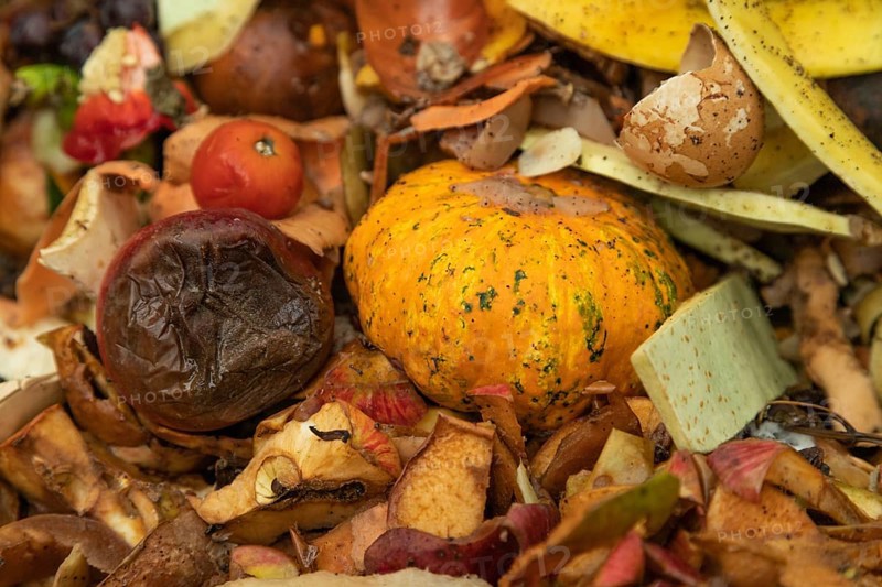 Compost pile made of organic food, leaves, vegetable and fruit Waste mix, Zero waste and Eco friendly Recycling concept
