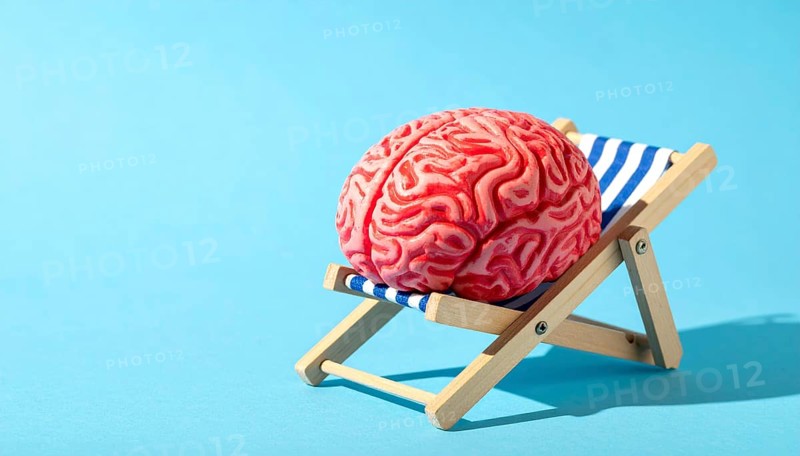 Brain relaxes on a sunbed under the summer sun, placed on a flat surface, symbol for mental health, AI generated