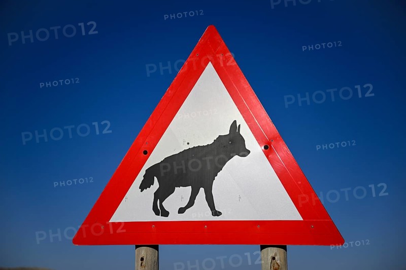 Sign warning of brown hyenas or beach wolves (Parahyaena brunnea) near Lüderitz, Karas Region, Namibia