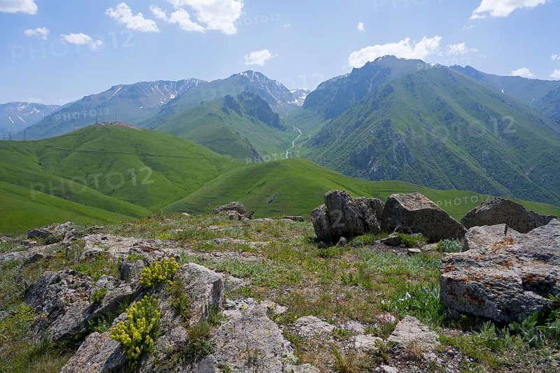 Green hills and mountains with flowers and rocks under a clear blue sky, at the highest pass in Armenia, Meghri Pass, Tashtun Pass, Syunik Province, Syunik, Armenia