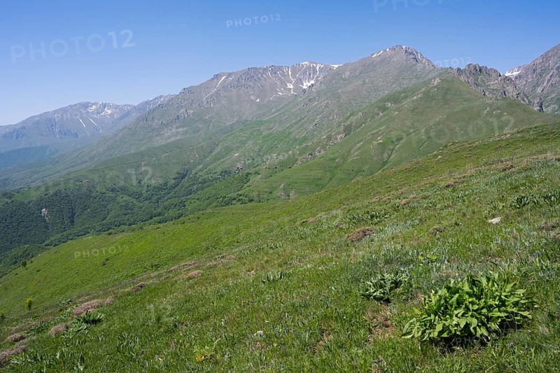 Wide green hills in front of a blue sky and rocky mountains, at the highest pass of Armenia, Meghri Pass, Tashtun Pass, Syunik province, Syunik, Armenia