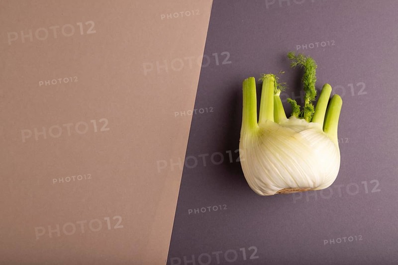 Fresh Fennel bulb on brown and gray pastel paper background, top view, flat lay, copy space, minimalism