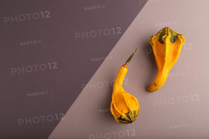 Two decorative orange Pumpkins on beige and gray pastel paper background, top view, flat lay, copy space, minimalism