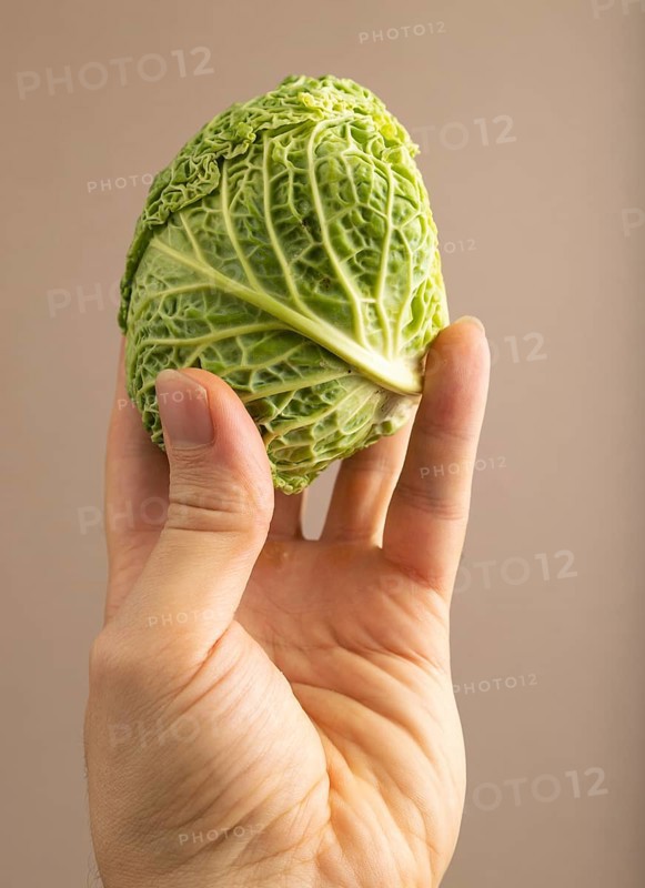 Green lettuce with hand on beige pastel paper background. Side view, copy space, flat lay. healthy food, vegetable, minimalism. hold