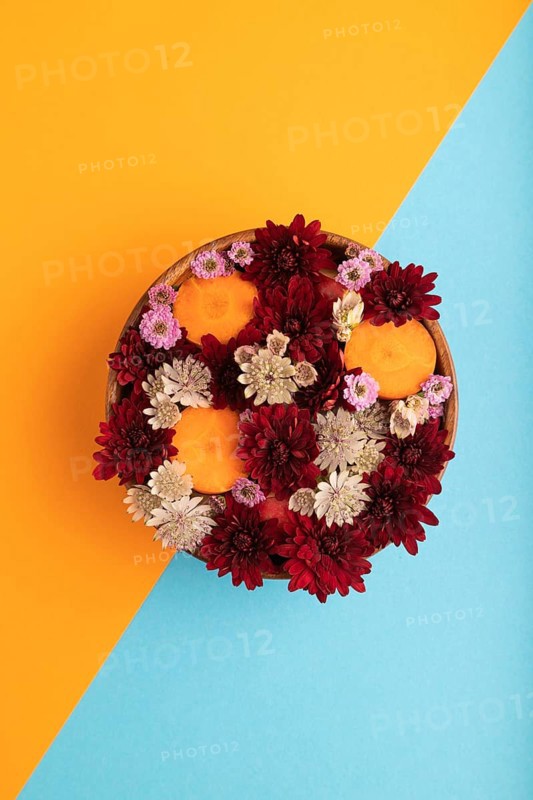 Wooden bowl with carrot slices and red Chrysanthemum flowers, Astrantia flowers, flower salad on blue and orange pastel paper background, top view, flat lay, copy space, minimalism