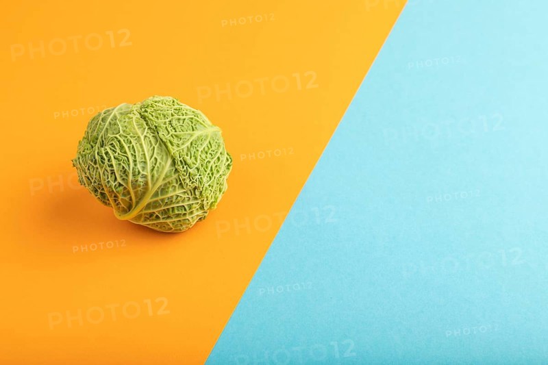 Green lettuce on blue and orange pastel paper background. Side view, copy space. healthy food, vegetable, minimalism