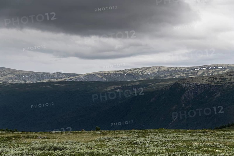 Fjell landscape, pilgrimage route Olavsweg or Olavsleden, old Kongevegen or King's Road across Dovrefjell, Norway
