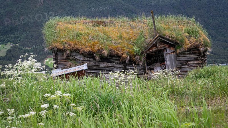 Abandoned, dilapidated wooden hut with grass roof in a green landscape against a mountain backdrop, Gudbrandsdalen or Gudbrandsdalen Valley, Norway