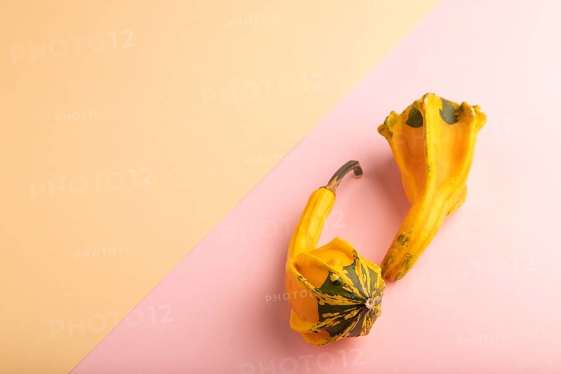 Two decorative orange Pumpkins on pink and orange pastel paper background, side view, copy space, minimalism