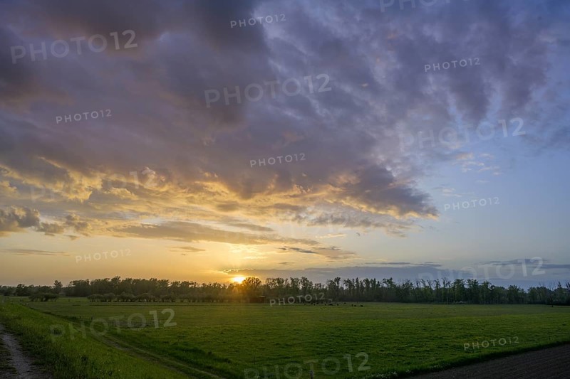 Sonnenuntergangsstimmung beim Damm, Infozentrum Isarmündung, Moos, Bayern, Deutschland