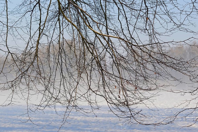 Winterlandschaft, aufsteigender Bodennebel im Licht der Morgensonne, Nordrhein-Westfalen, Deutschland