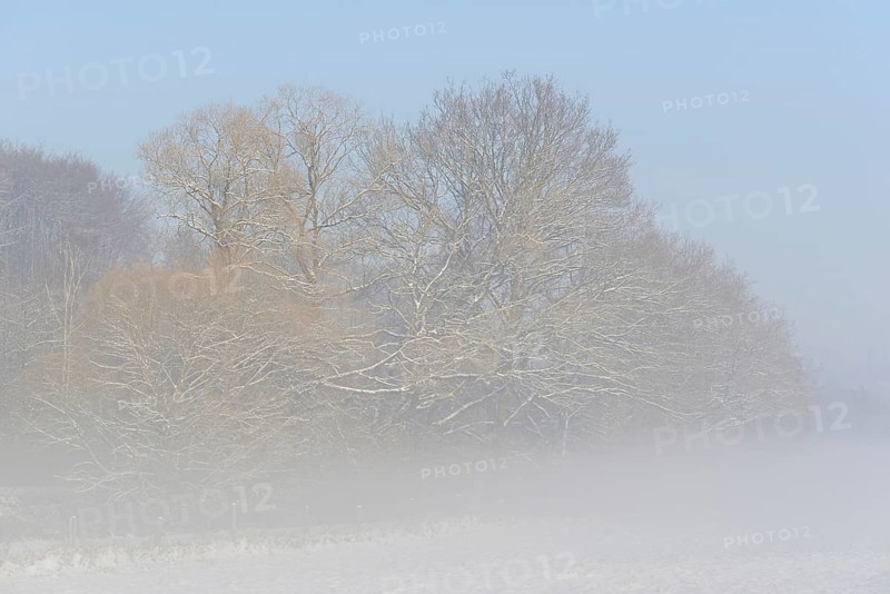 Winterlandschaft, Bodennebel steigt vor schneebedeckten Bäumen auf, blauer Himmel, Nordrhein-Westfalen, Deutschland
