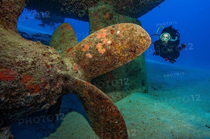 Unterwasserfoto von Taucherin blickt auf betrachtet Schiffsschraube von untergegangenes Schiff Schiffswrack, Indischer Ozean