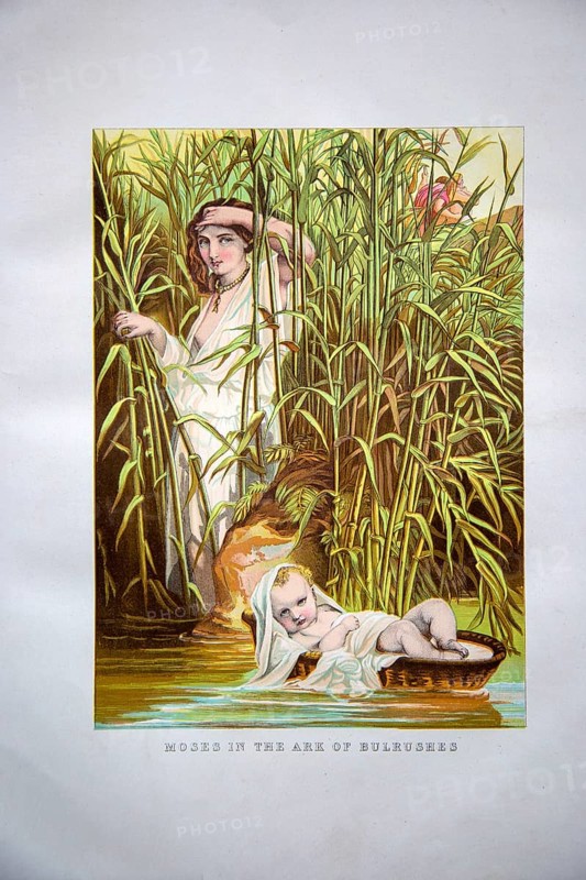 Nineteenth century Victorian Bible story illustration in Chromo-Lithography, Moses in the Ark of Bulrushes