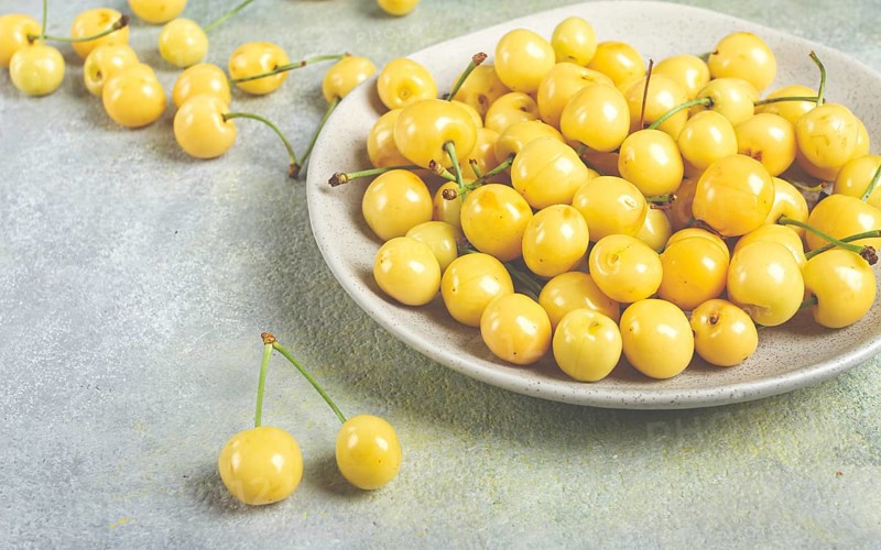 Yellow cherry, cherry berry, scattered on a plate, top view, no people