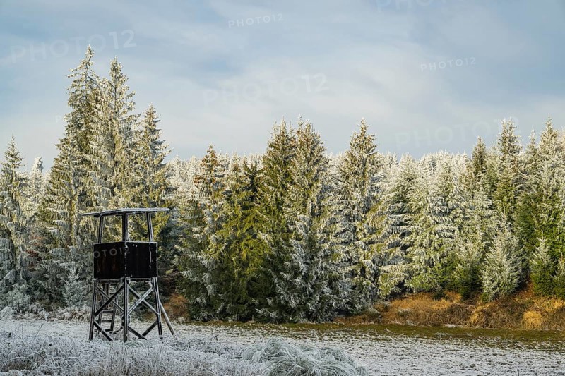 Hunting pulpit on a meadow in a valley surrounded by a mixed forest with norway spruce (Picea abies) and European beech (Fagus sylvatica) white from roarfrost, on a sunny day in winter, Bavaria, Germany