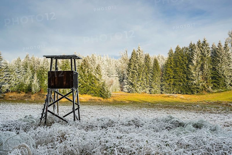 Hunting pulpit on a meadow in a valley surrounded by a mixed forest with norway spruce (Picea abies) and European beech (Fagus sylvatica) white from roarfrost, on a sunny day in winter, Bavaria, Germany