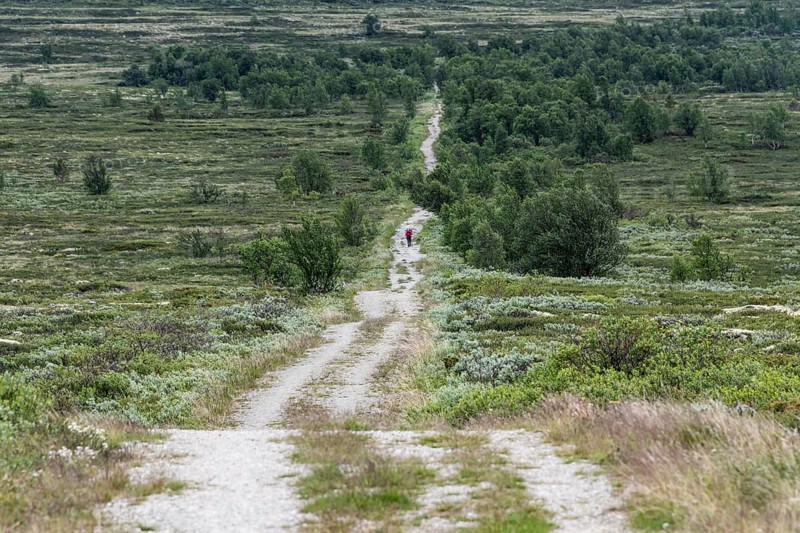 Pilger mit Rucksack auf dem historischen Kongsvegen oder Königsweg, der über das Fjell führt, bewölkter Himmel, Pilgerweg Olavsweg, Olavsleden oder Pilgrimsleden, Dovrefjell, Norwegen