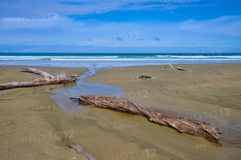 Sandiger Strand mit Treibholz und Blick auf das entspannte Meer und den blauen Himmel, Kaka Point, Clutha District, Otago, Südinsel, Neuseeland