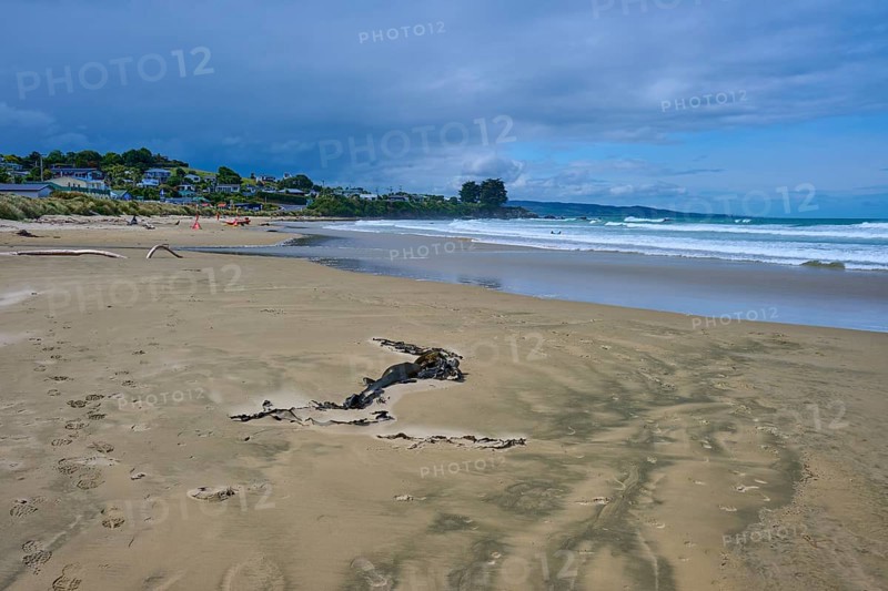Weitläufiger Strand mit Meer, Wellen und entfernten Häusern unter einem leicht bewölkten Himmel, Kaka Point, Clutha District, Otago, Südinsel, Neuseeland