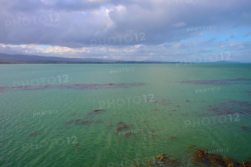 Grünes Wasser Meer breitet sich unter einem bewölkten Himmel aus, Moeraki, Hampden, North Otago, Südinsel, Neuseeland