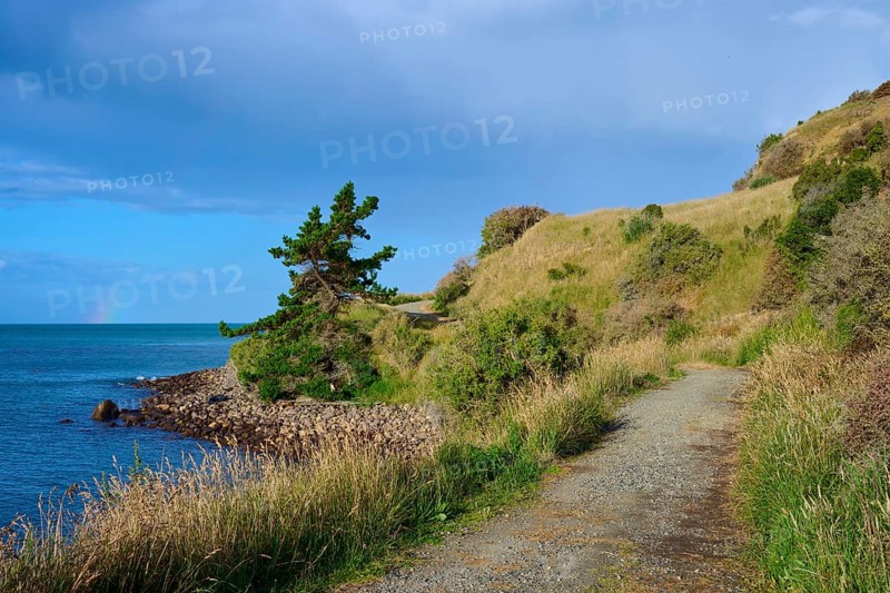 Ein Weg schlängelt sich entlang der Küste mit grasbewachsenen Hügeln, Moeraki, Hampden, North Otago, Südinsel, Neuseeland