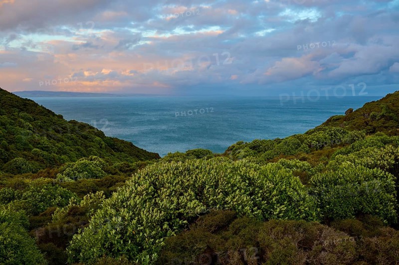Blick auf das Meer zwischen grünen Hügeln unter einem bewölkten Abendhimmel, Nugget Point, Ahuriri Flat, Otago, Südinsel, Neuseeland