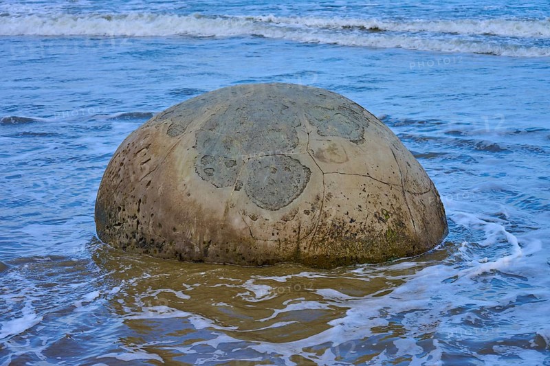 Ein großer runder Fels im seichten Wasser am Strand mit einem freien Blick auf das Meer, Moeraki Boulders, Moeraki, Hampden, North Otago, Südinsel, Neuseeland